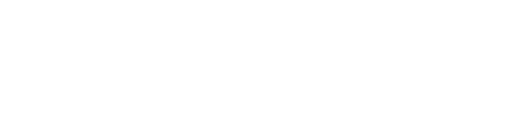 #16651 - Schwartz Intl Website - Logo White (1)